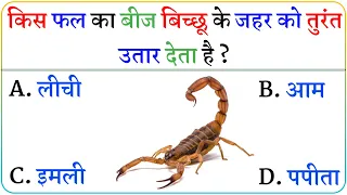 Gk Questions || Gk In Hindi || Gk ke sawal || General Knowledge || Gk Questions And Answers In Hindi