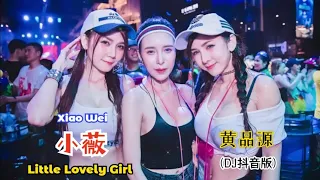 黄品源 - 小薇 (DJ抖音版) Xiao Wei【Little Lovely Girl】- Lirik Pinyin Terjemahan Indonesia ||HOT Tiktok Douyin