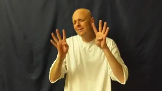 "Human" by Rag'n'Bone Man in Sign Language