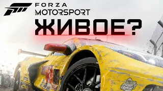 FORZA MOTORSPORT - СПУСТЯ ПОЛГОДА, ЖИВО? (НЕТ)