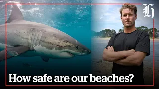 How to stay safe around sharks this summer | nzherald.co.nz