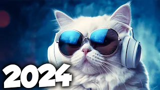 MÚSICA ELETRÔNICA 2024 ⚡️ ELETRÔNICAS 2024 MAIS TOCADAS ⚡️ Alok, Vintage Culture & David Guetta