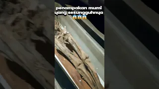 Pengalaman liat Mumi langsung di 🇹🇷 wow 😎