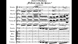 Johann Sebastian Bach - Cantata: Erfreut euch ihr Herzen, BWV 66. {w/ score.}