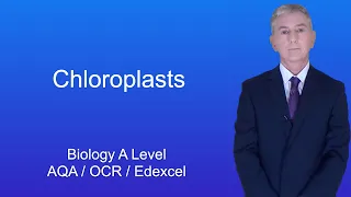 A Level Biology Revision "Chloroplasts"