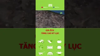 GIÁ ẾCH TĂNG CAO KỶ LỤC #vtc16 #shorts