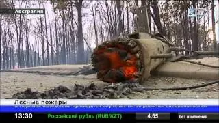 В пригородах австралийского города Перт горят лесные массивы