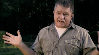 The Skunk Ape Lives(Official trailer)