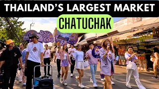Exploring the Largest Market in Thailand | Chatuchak Weekend Market: Bangkok