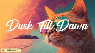 Dusk Till Dawn, Perfect, Shape of You - ZAYN, Ed Sheeran, Ed Sheeran (Mix Lyrics)