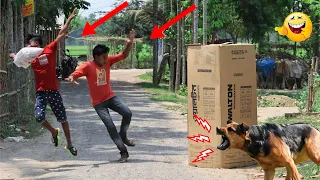 Fake Dog Bark In Box Prank!! With Public Epic Reaction Prank 2021!!Try To Not Lough!!