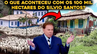 O QUE ACONTECEU COM AS FAZENDAS GIGANTES DO SILVIO SANTOS?