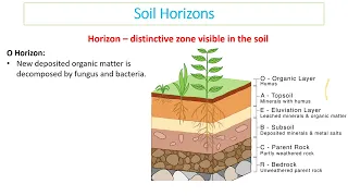 5.1 What is soil Video 2024