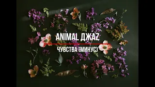 Animal ДжаZ – Чувства (минус)