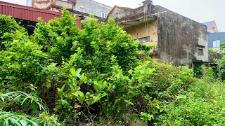 PEOPLE HELP us mow The OVERGROWN GRASS cleanup the ABANDONED house that detracts from URBAN BEAUTY