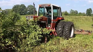 Bush Hogging Extremely Overgrown Briar Patch