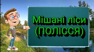 Мішані ліси. Полісся. Природознавство четвертий клас. ЯДС