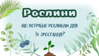 РОСЛИНИ Що потрібно для їх зростання @videopresentazii