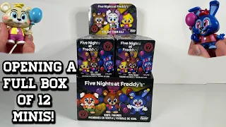 You WON'T Believe What We Found Inside This FNAF Mystery Mini Box!!