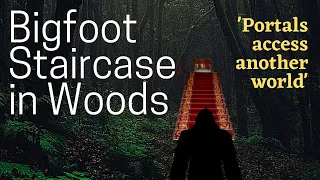 Bigfoot Staircase in Woods bigfoot case files