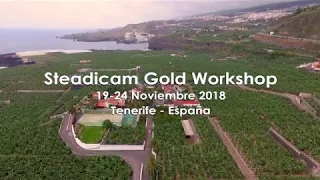 STEADICAM GOLD WORKSHOP GARACHICO NOV 2018