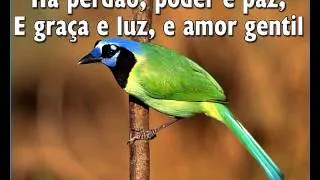 Perdão Poder E Paz   -   Hino 210