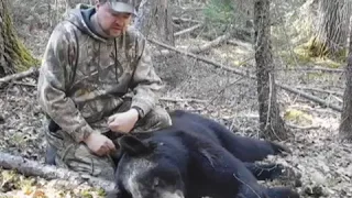 Black Bear Archery Hunt in Manitoba