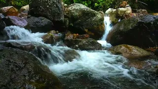 soothing sound of water between small stones.asmr