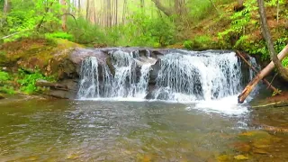 Avery Creek Falls; Western North Carolina