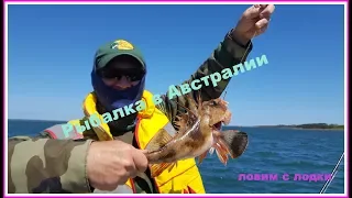 РЫБАЛКА В АВСТРАЛИИ 3  Western Port Bay 11 11 18