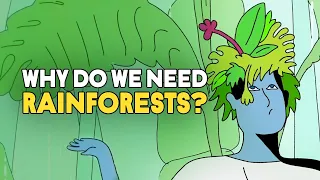 Why do we need rainforests?