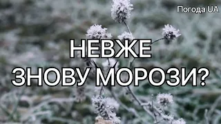 ПОГОДА ЗДИВУЄ УКРАЇНЦІВ?! Прогноз погоди