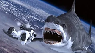 Syfy's Sharknado 4 Gets Summer Premiere Date and Star Wars Inspired Title