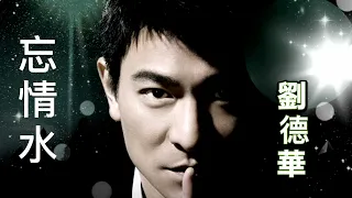 劉德華Andy Lau 《忘情水》歌詞版 | 經典歌曲 | 國語歌