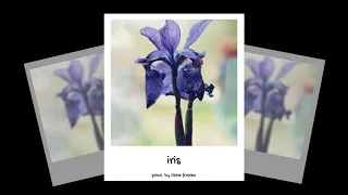 [FREE] tobi lou x kota the friend x pH-1 type beat 2021 - "iris"