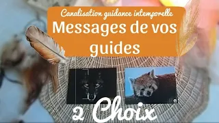 Messages de vos guides ✨2 Choix🪶 Canalisation guidance intemporelle