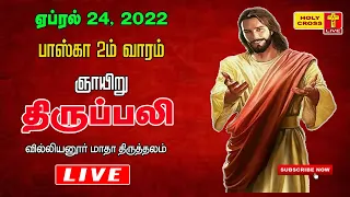 24 April 2022  Sunday Tamil Mass | Villianur Lourdes Shrine | Holy Cross Tv | Daily Tv Mass |Tv Mass