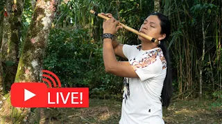 From Nature Live Energetic Andean Music