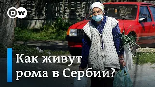 Дома из мусора: кошмарный временный лагерь в Белграде стал для рома постоянным местом жительства