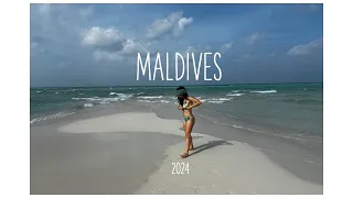 SCUBA DIVING IN THE MALDIVES