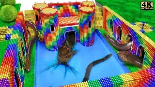 Build Underground Castle, Swimming Pool For Catfish and Eel From Magnetic Balls ( Satisfying )