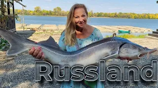 The Life of Russians on the Border with Kazakhstan 🔥 Sturgeon Monsters in Hot City Astrakhan