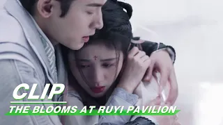Clip: Ju Jingyi Traps In The Ice Cellar | The Blooms At RUYI Pavilion EP17 | 如意芳霏 | iQIYI