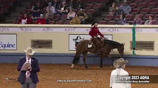 2023 AQHA World Championship Show Open Working Western Rail