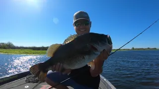 Catching some BIG Fish and Taking home some $$$ | Windy Wednesday Nighter, CA DELTA