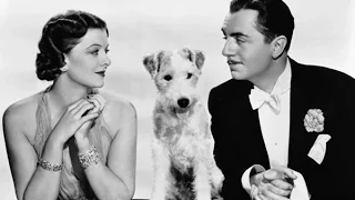 Nick & Nora  & The Thin Man Films - My Favourite Waste of Time