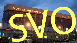 01. Introduction in Sheremetyevo airport: Toilets, Duty Free, Lifehacks