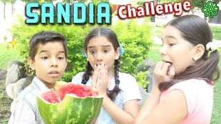 SANDÍA CHALLENGE ♥️ - Gibby