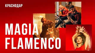 Концерт Испанской Музыки. Прямой эфир. "Amigos Del Flamenco".17.дкабря 21г.  #flamenco #guitar