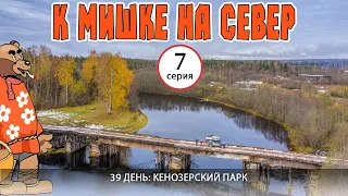 #7 Кенозерский парк - Кучепалда - Каргополь. Автопутешествие К Мишке на Север. Русский Север